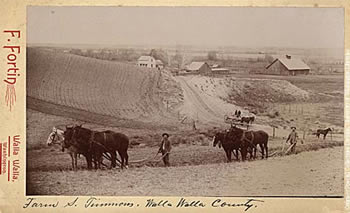 Timmons Farm